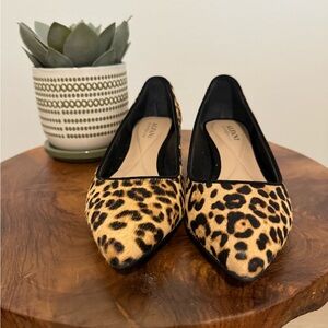 Alfani Womens Cashh Pointed Toe Classic Pumps, Leopard